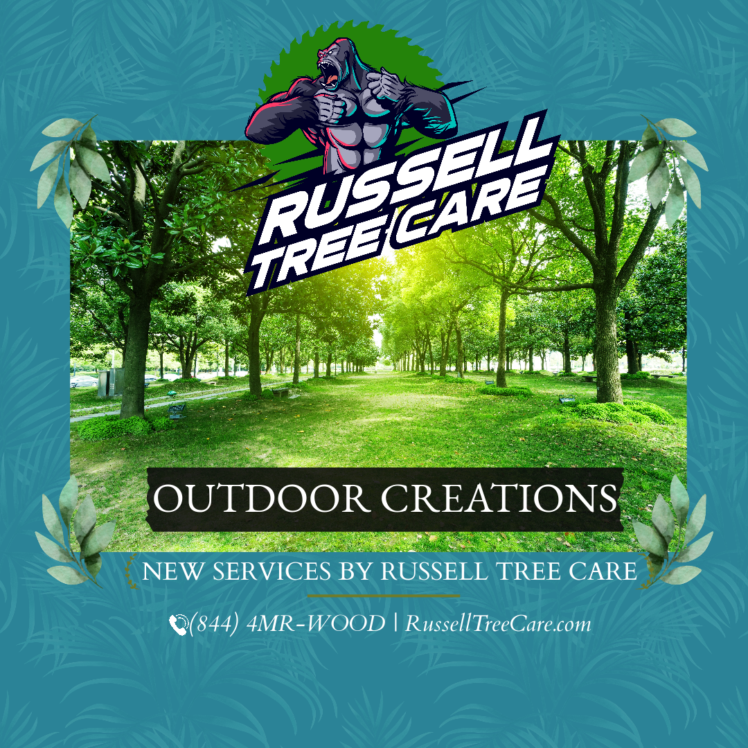 Outdoor Creations by Russell Tree Care Our New Services